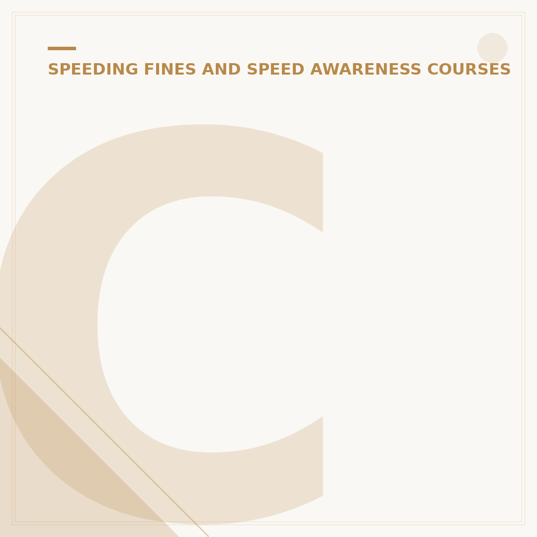 Can You Reject a Speeding Ticket After 14 Days?