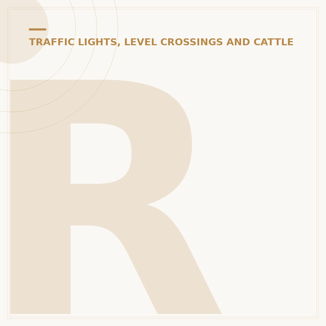 Report Temporary Traffic Lights Not Working