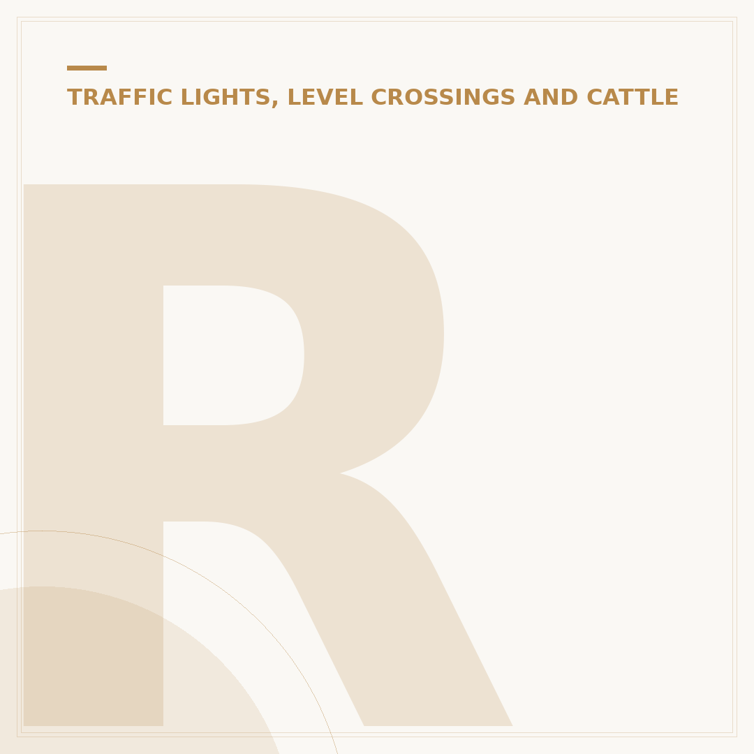 Roundabouts with Traffic Lights Explained for UK Drivers