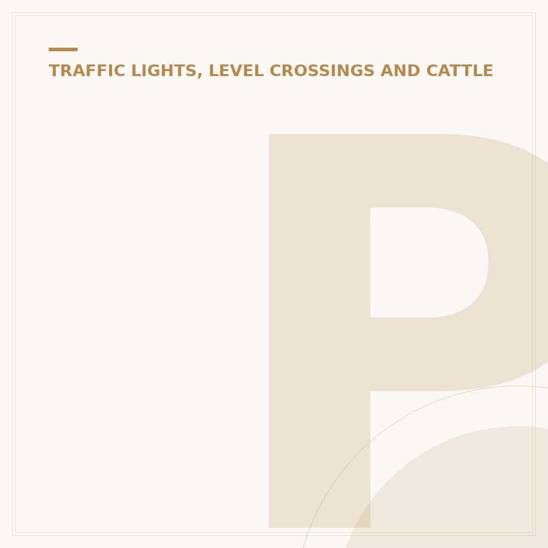 Penalty for Running a Red Light UK: Fines & Points