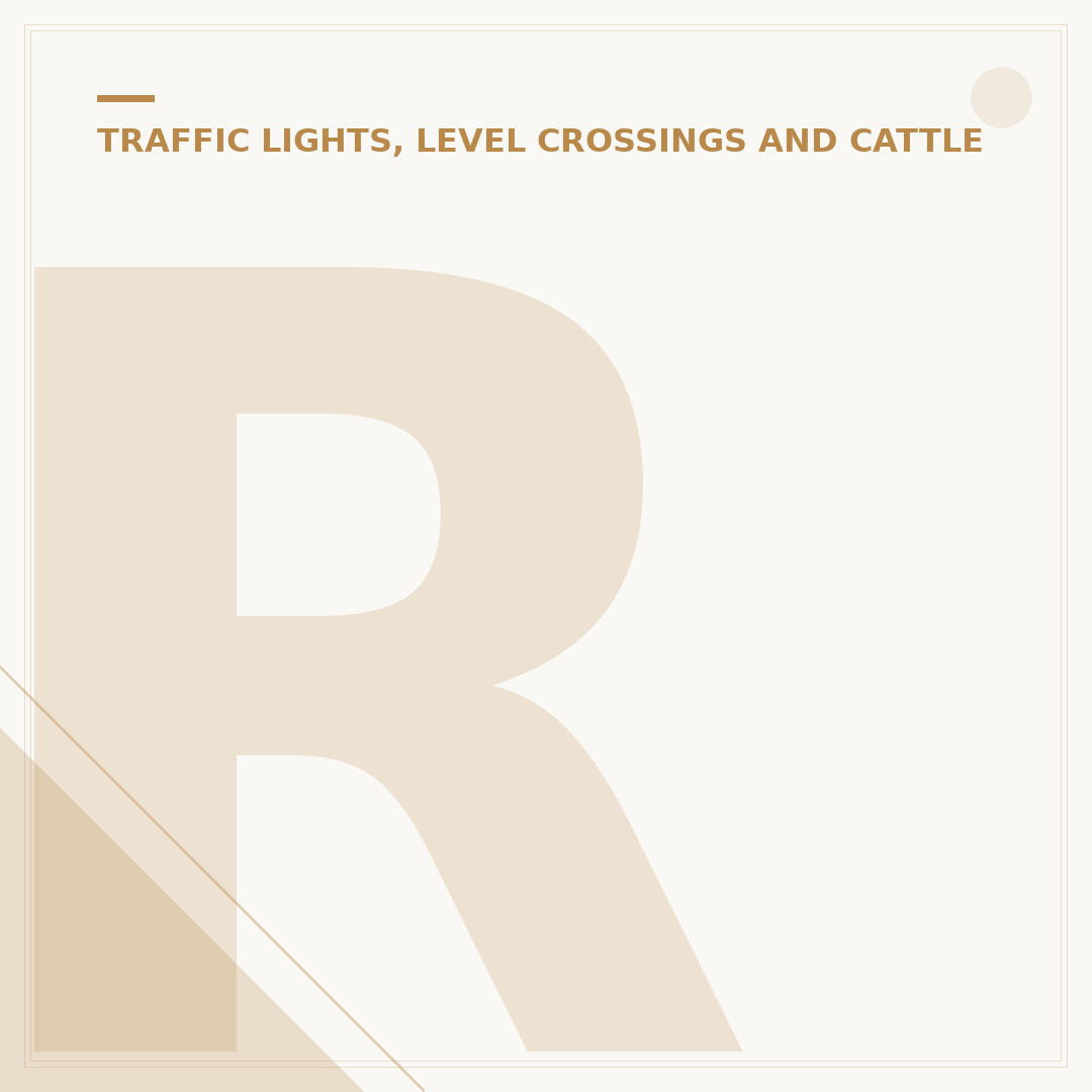 Running a Red Light: Fines and Penalties Explained UK