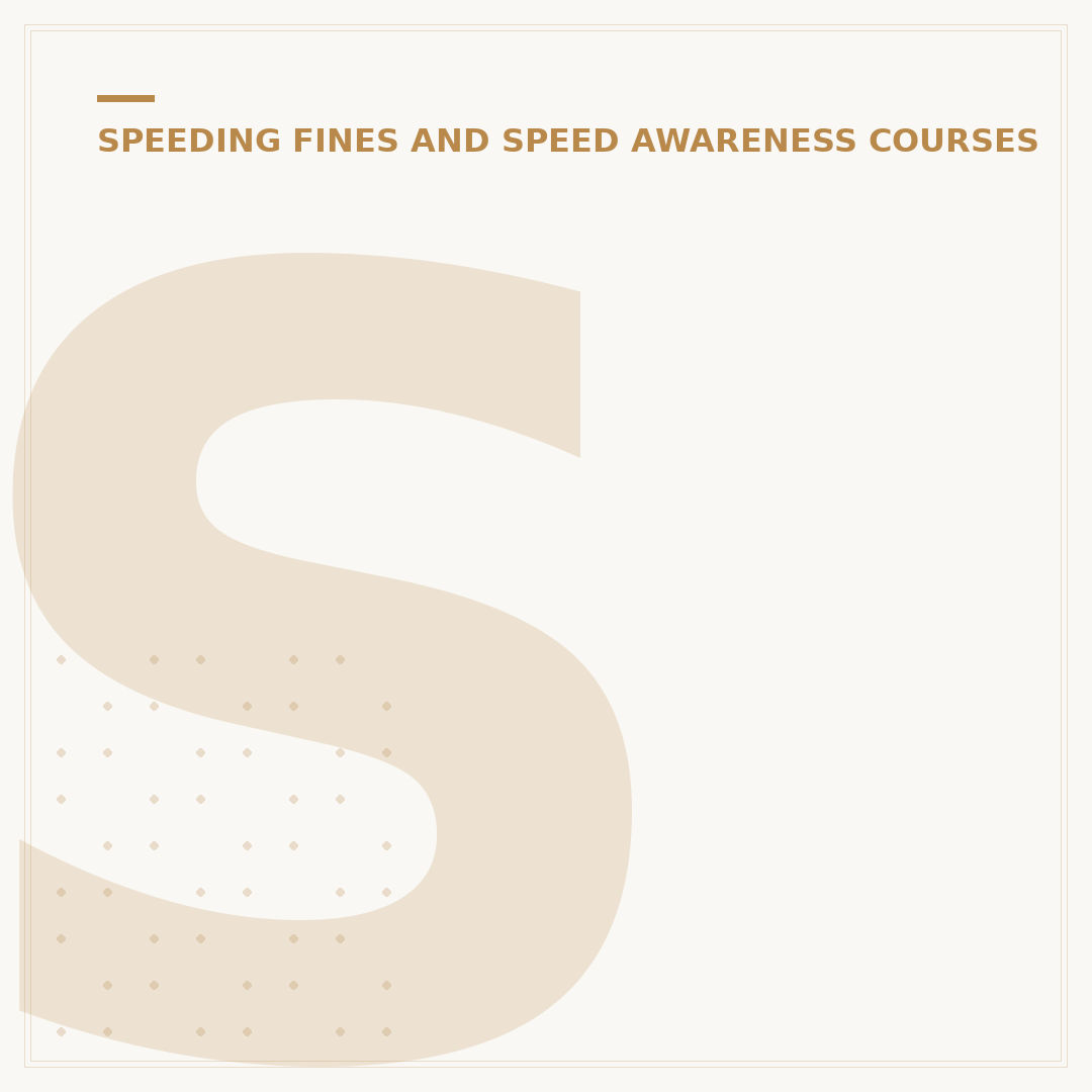 Speeding Ticket 14 Day Rule Explained
