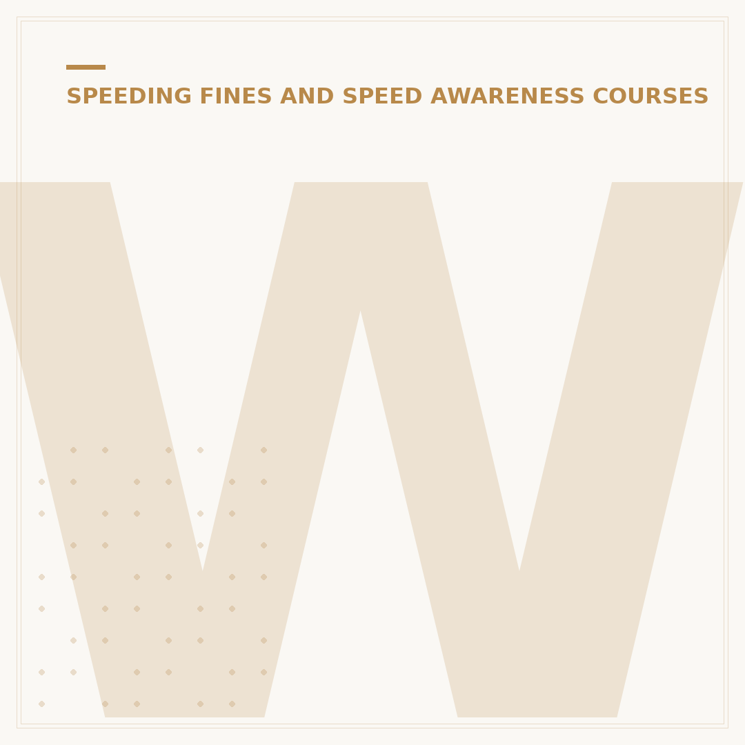 What Happens If You Get a Speeding Ticket?