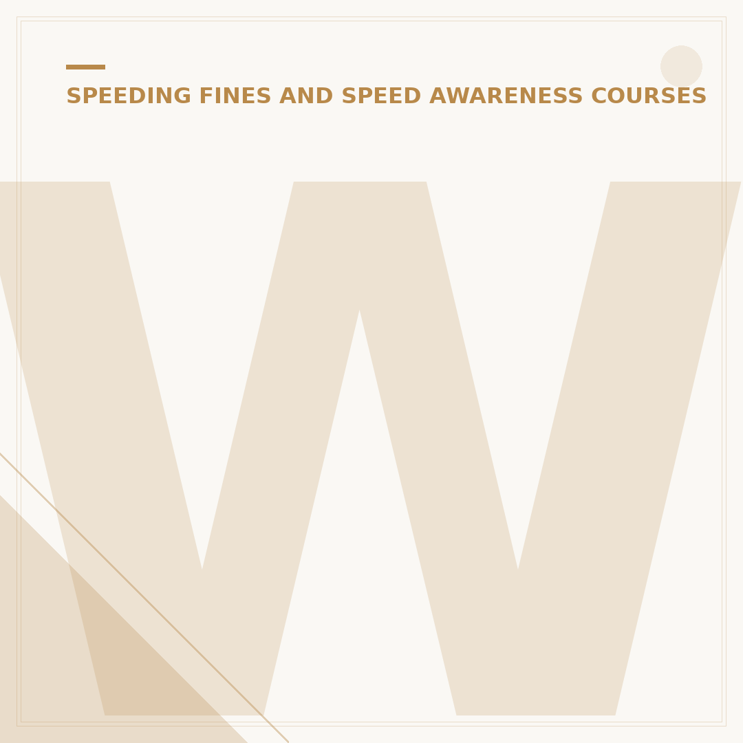 What Does a Speeding Ticket Look Like in the UK?