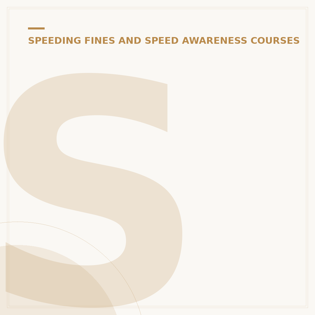 Speeding Ticket Northern Ireland: Your Options Explained