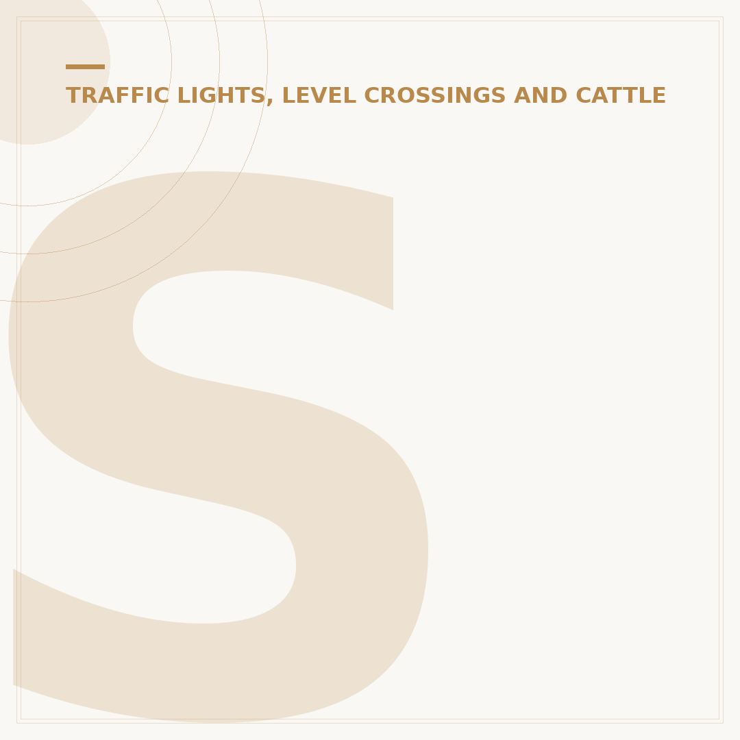 Station Road Level Crossing: Safety and Signage
