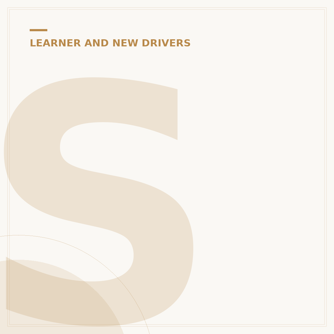 Stick on L Plates