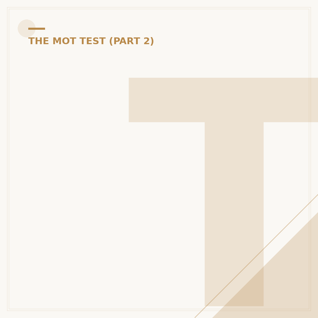 Total Test MOT: What to Expect for a Comprehensive Check