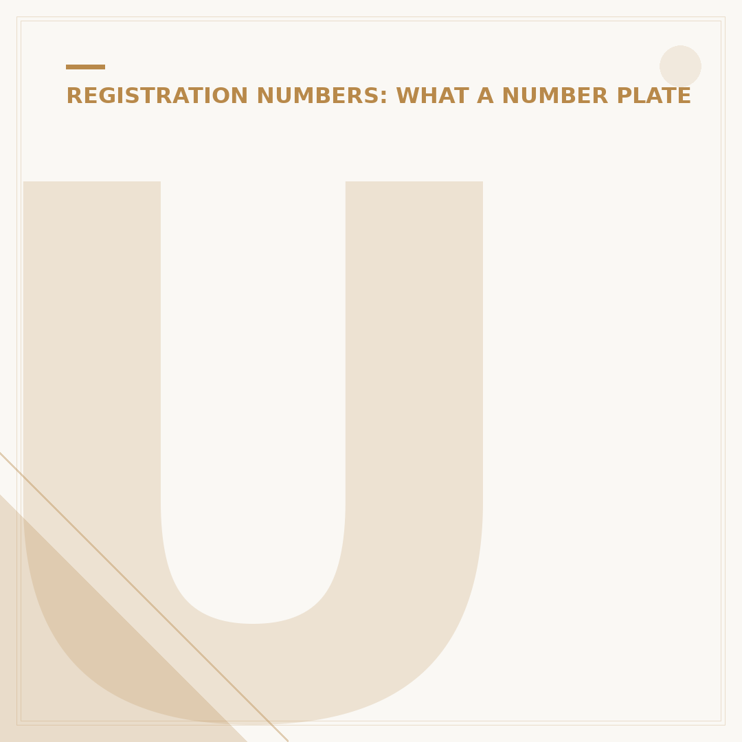 Understanding TR Number Plates: What They Mean