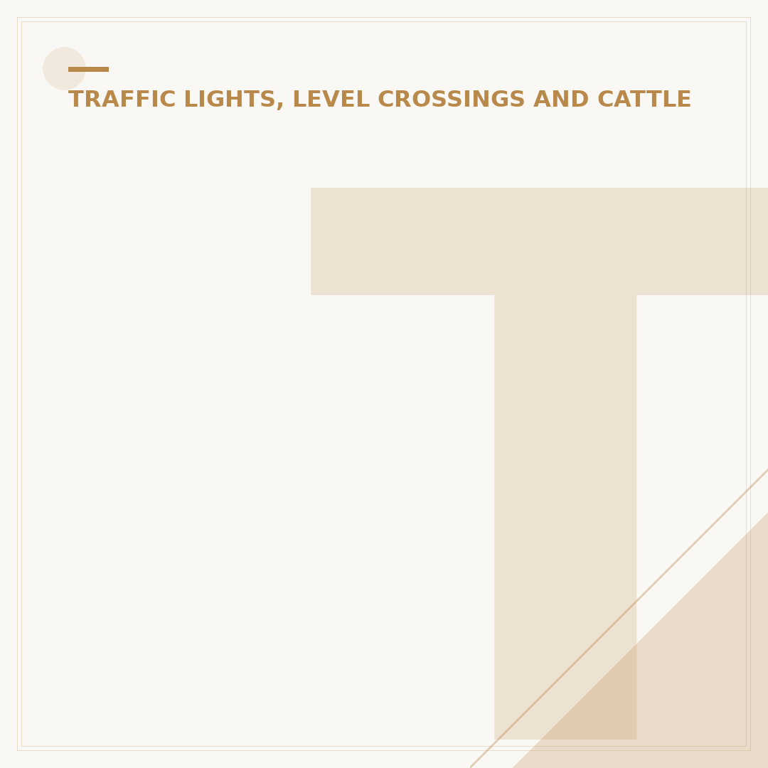 Traffic Lights on Green: What It Means for Drivers