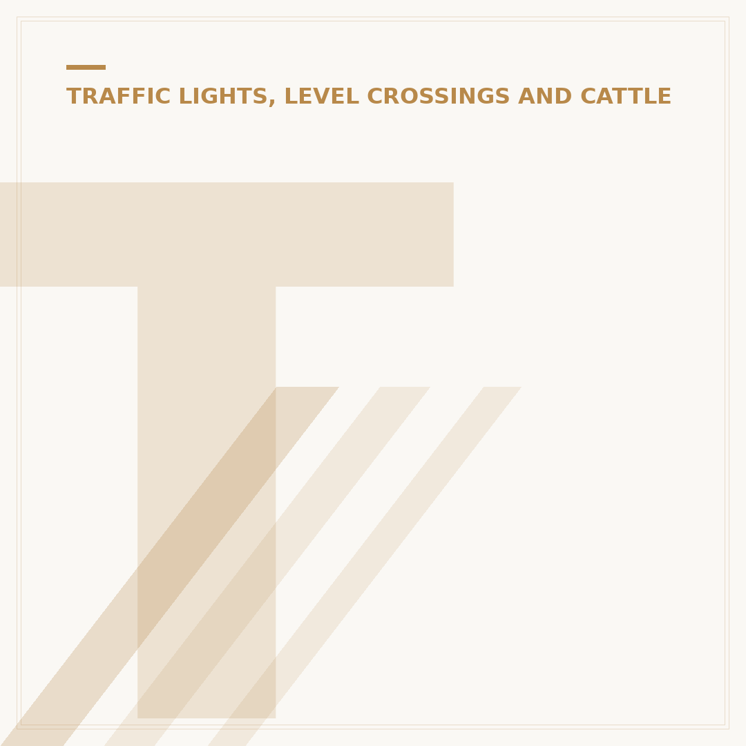 Traffic Lights Order of Colours Explained