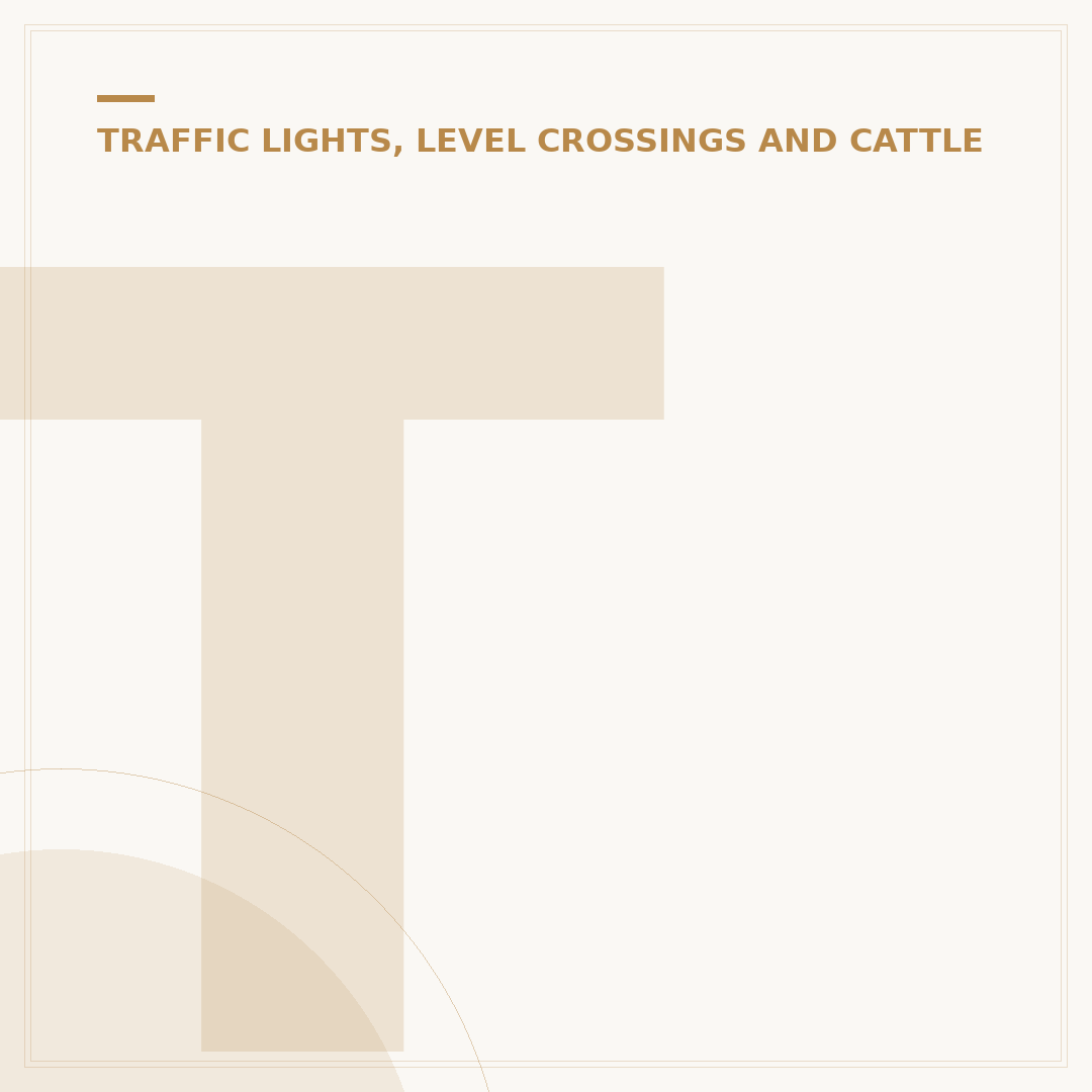 Traffic Lights Theory Test