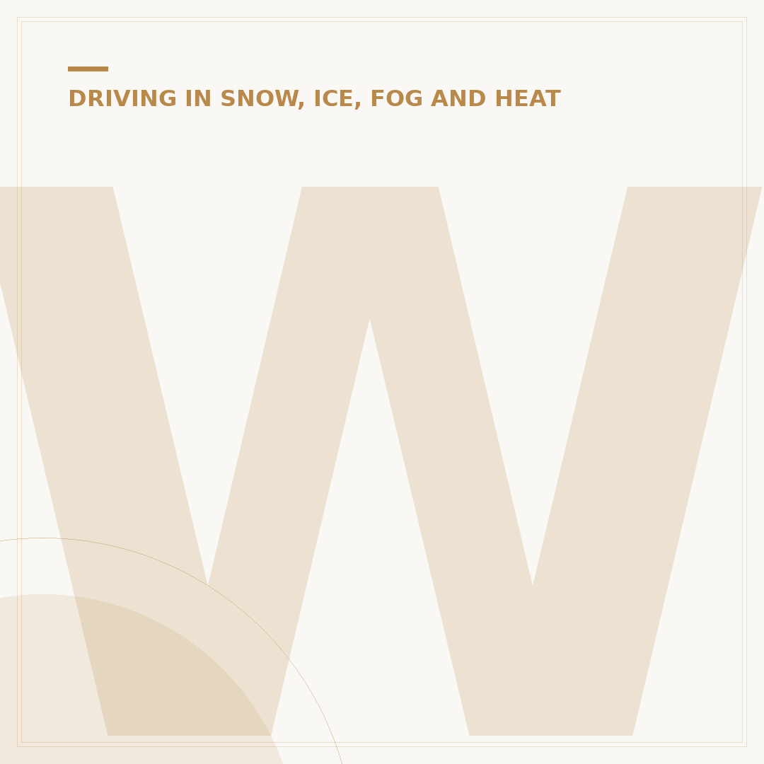 When to Use Fog Lights Safely and Effectively