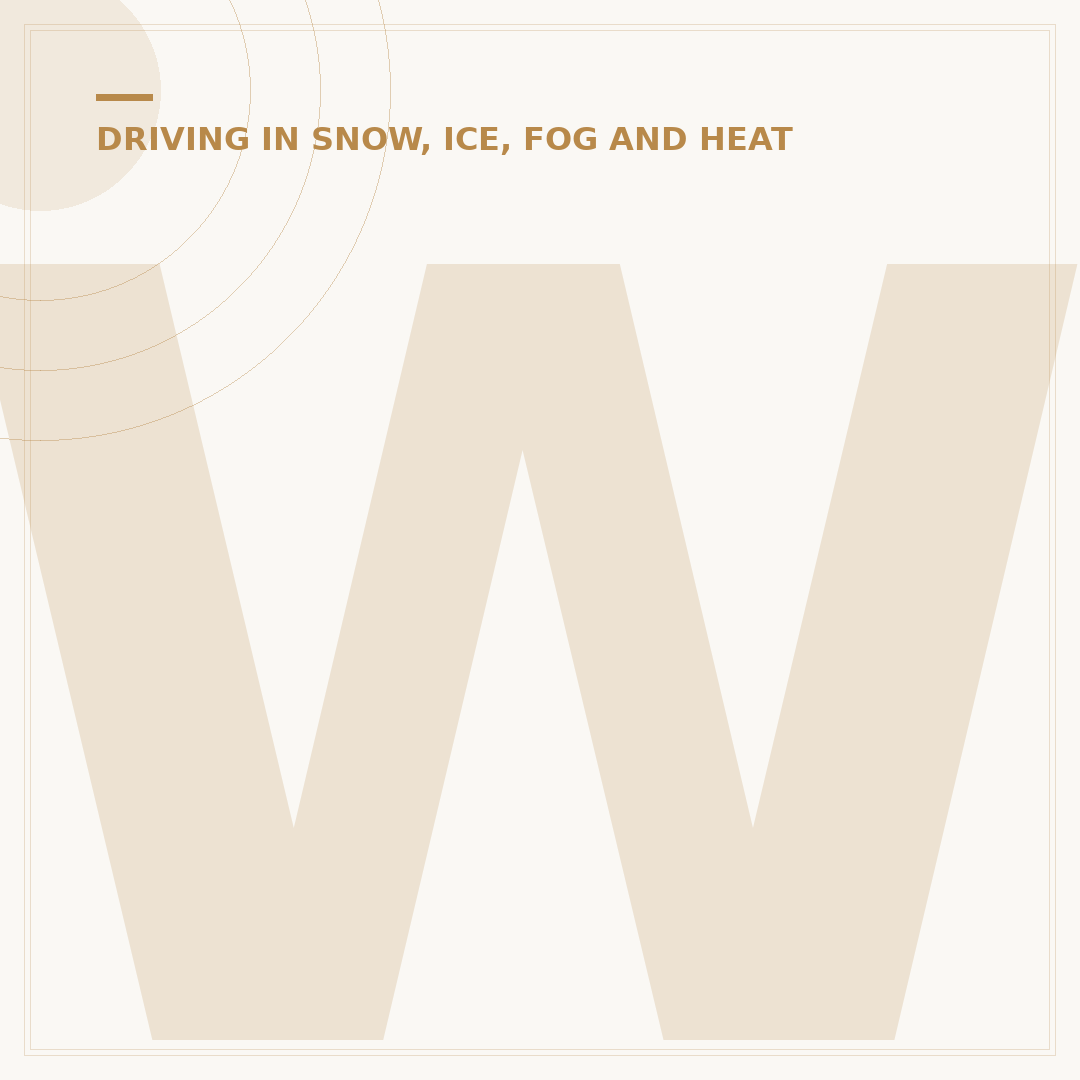 When Should Fog Lights Be Used?