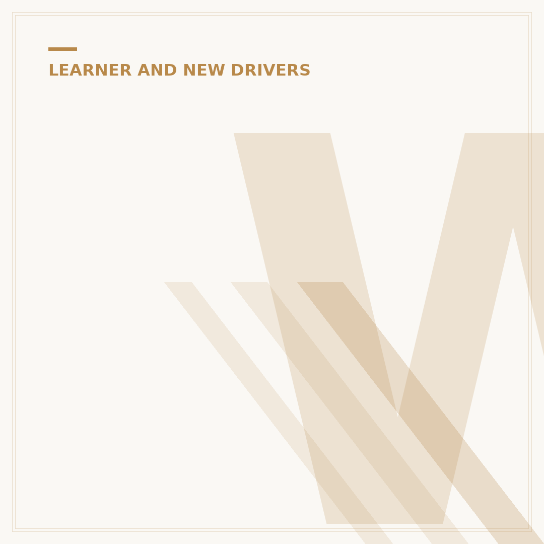 Who Can Accompany a Learner Driver?