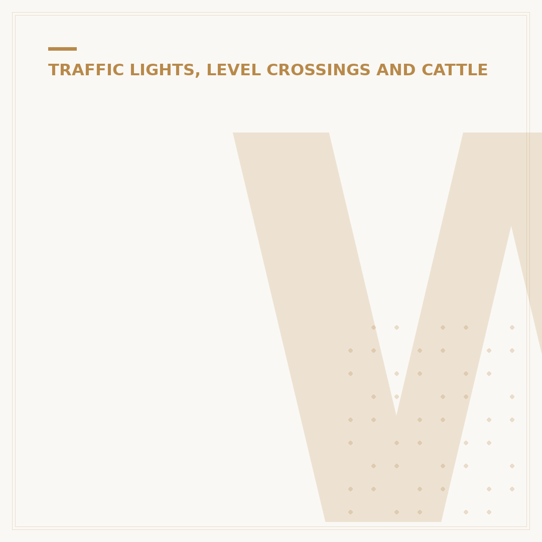 Who Invented Traffic Lights? The Story of Road Safety