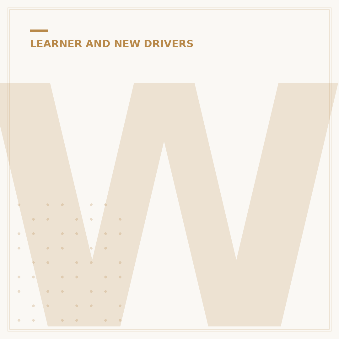 Who Can Take a Learner Driver Out?