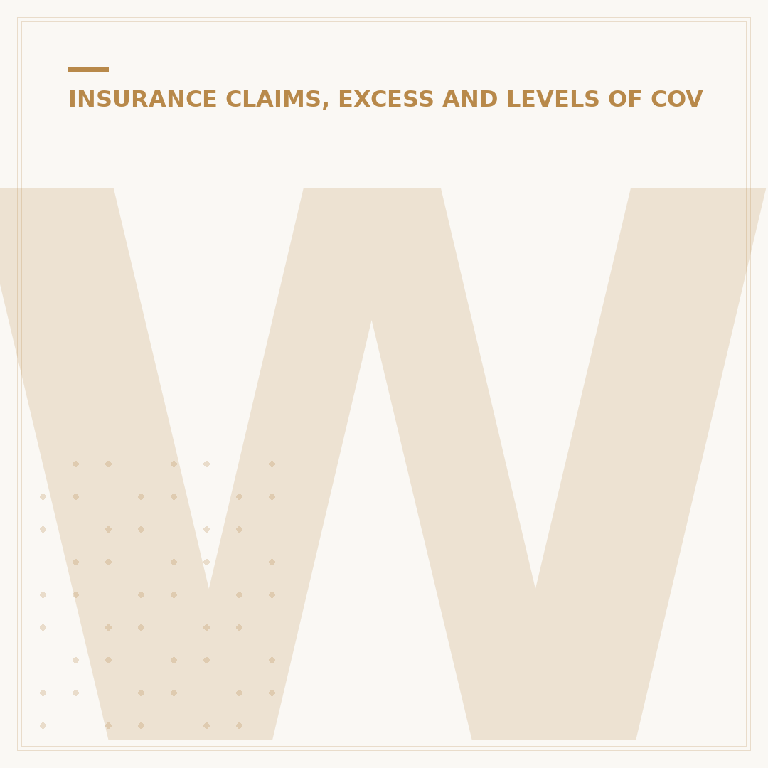 Worldwide Car Excess Insurance: Your Cover Explained