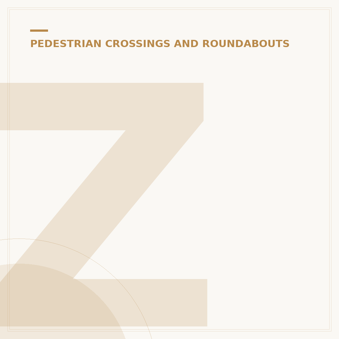 Zebra Crossing Warning Signs Explained