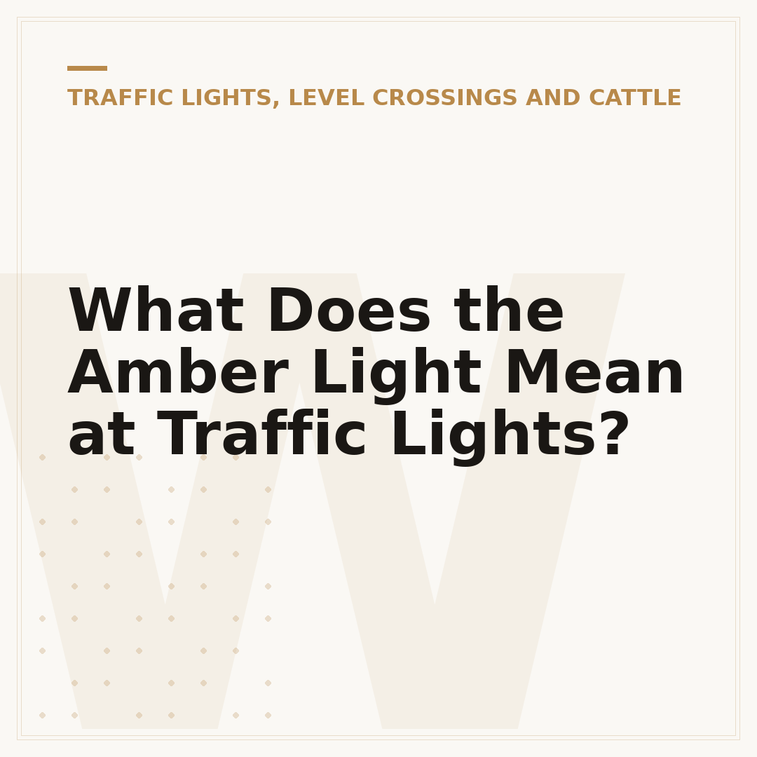 What Does the Amber Light Mean at Traffic Lights?