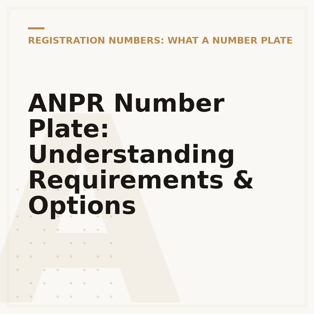 ANPR Number Plate: Understanding Requirements & Options