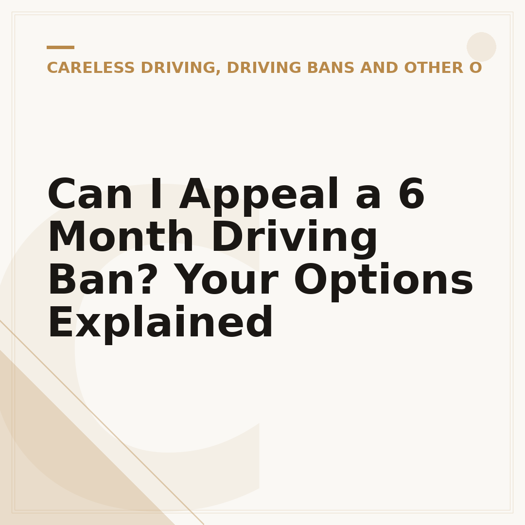 Can I Appeal a 6 Month Driving Ban? Your Options Explained