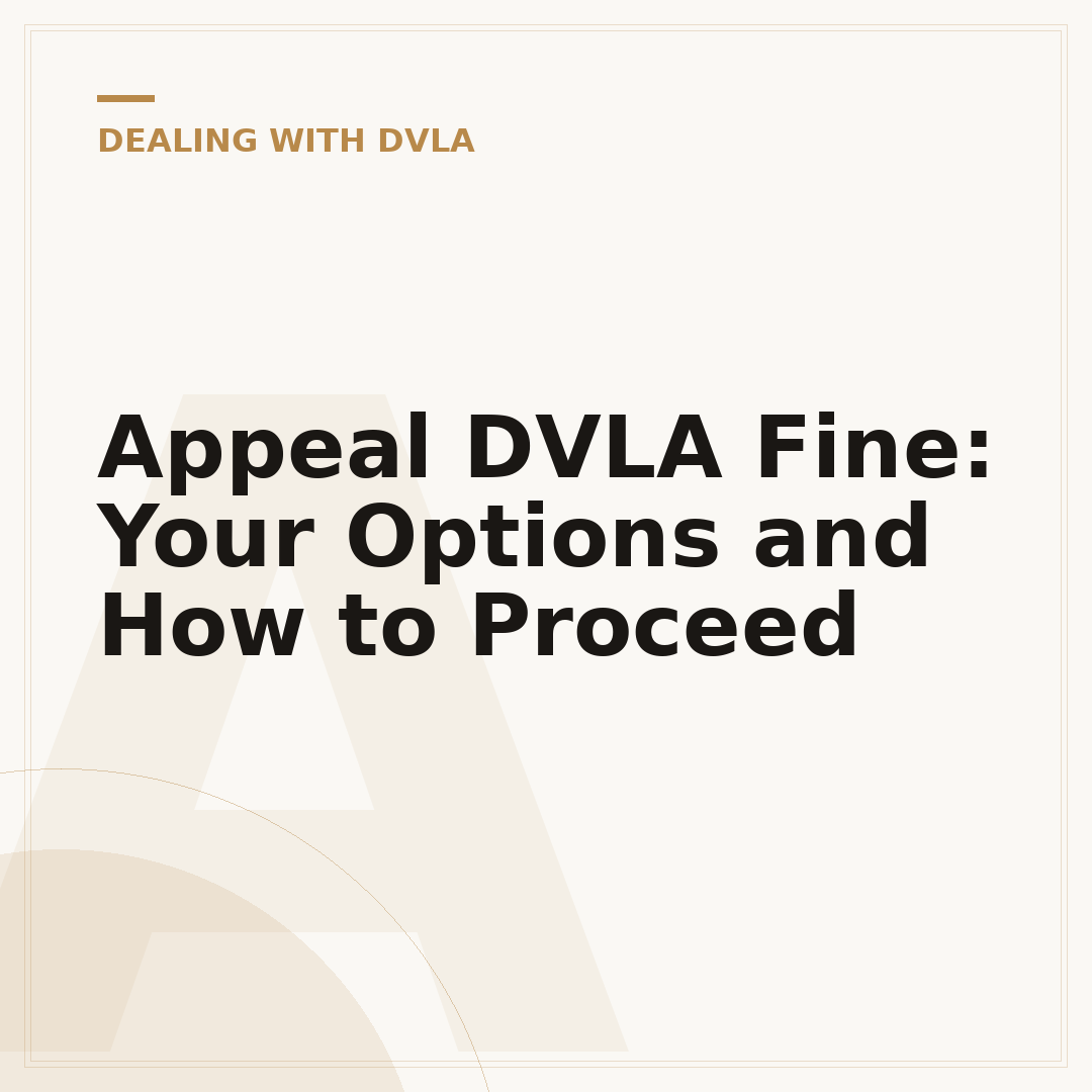 Appeal DVLA Fine: Your Options and How to Proceed