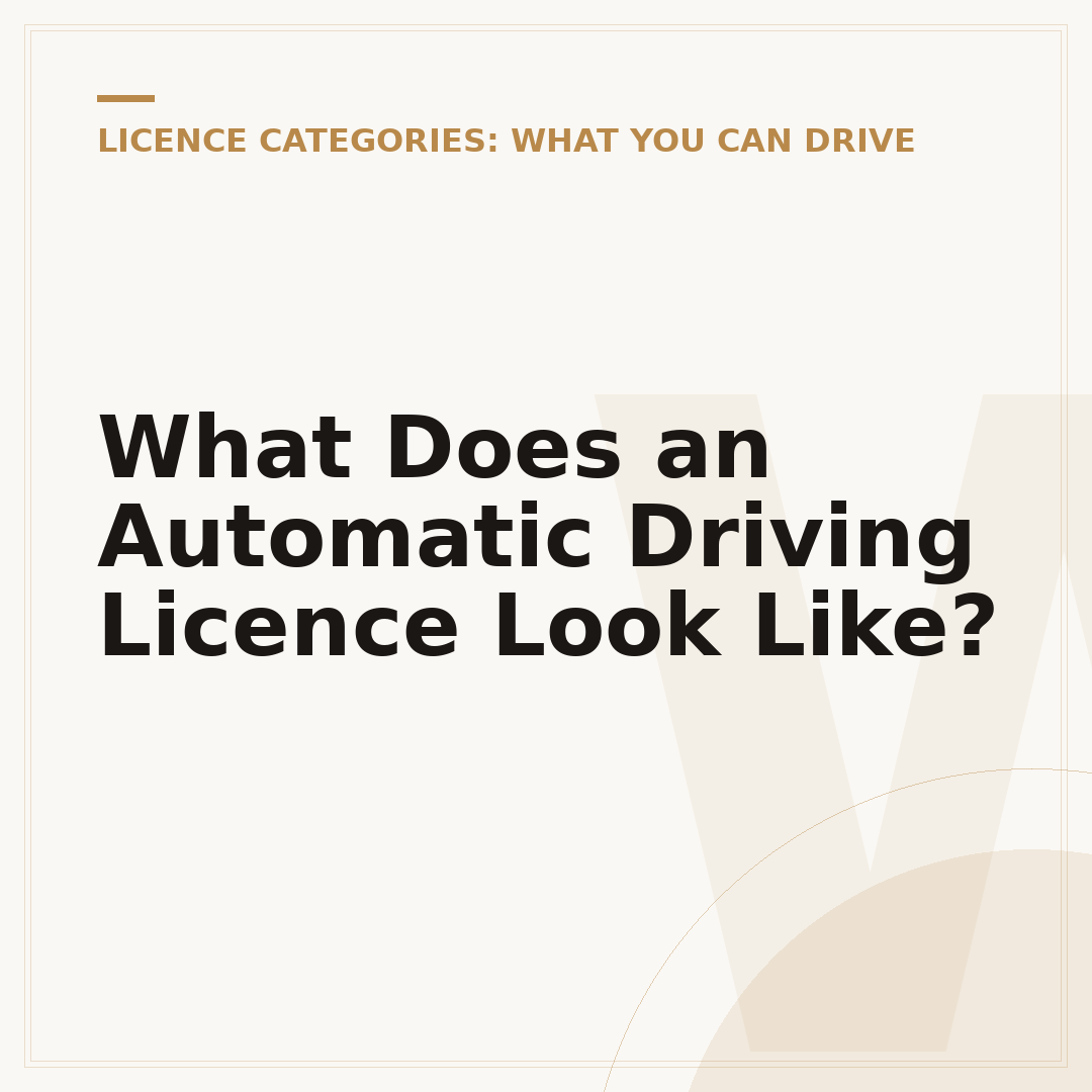 What Does an Automatic Driving Licence Look Like?