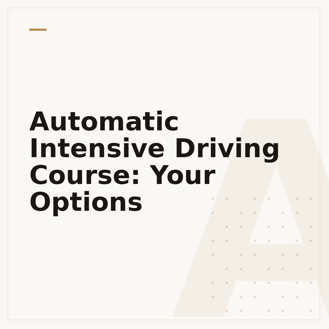 Automatic Intensive Driving Course: Your Options