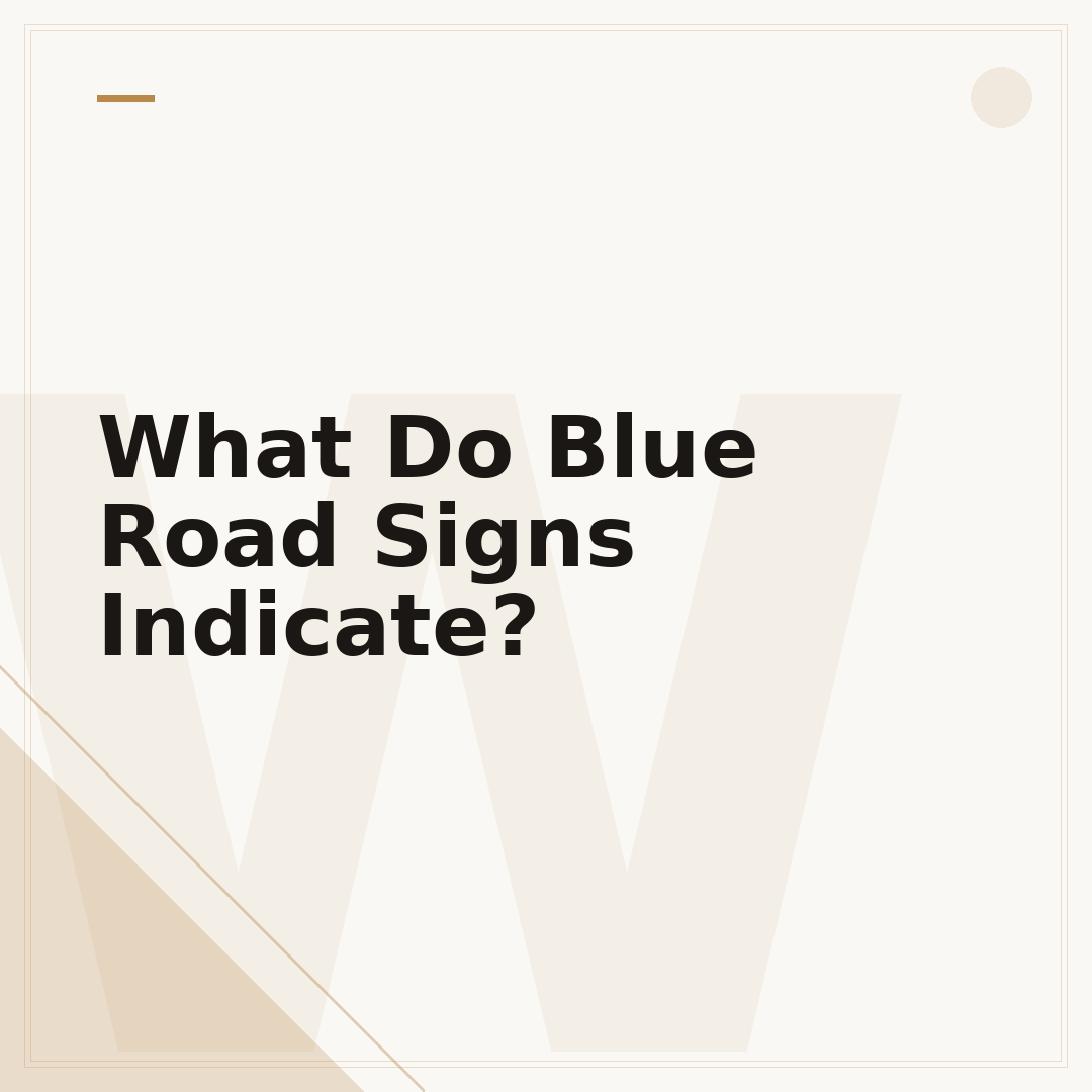 What Do Blue Road Signs Indicate?