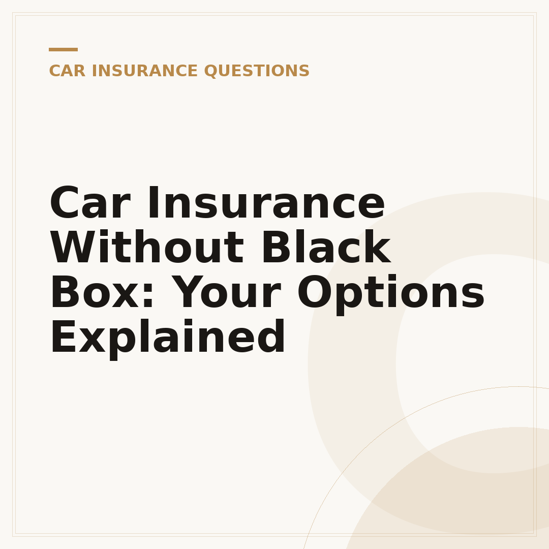 Car Insurance Without Black Box: Your Options Explained
