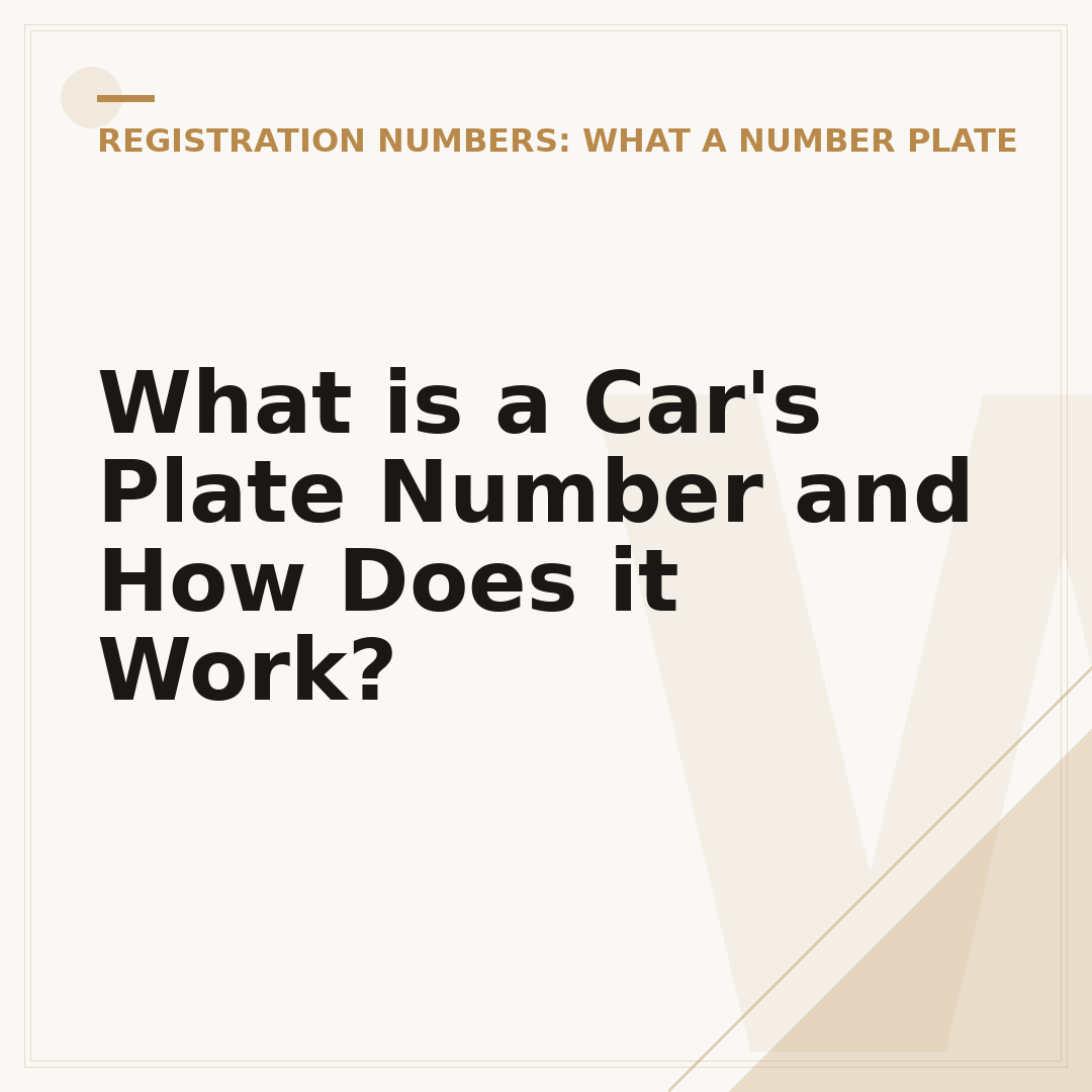 What is a Car's Plate Number and How Does it Work?