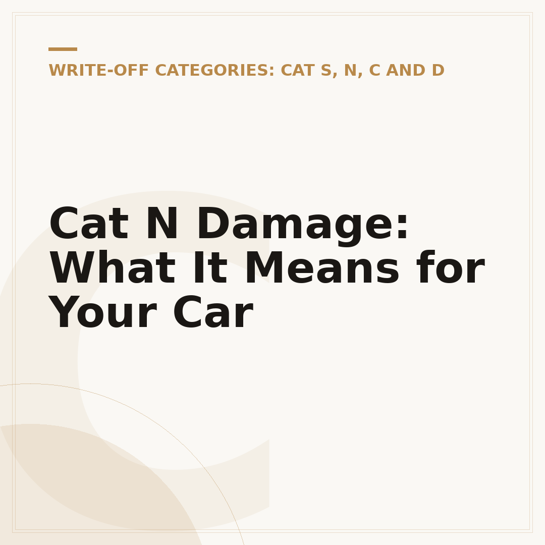 Cat N Damage: What It Means for Your Car