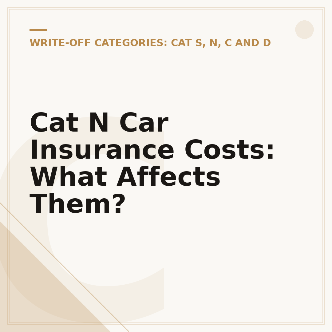 Cat N Car Insurance Costs: What Affects Them?