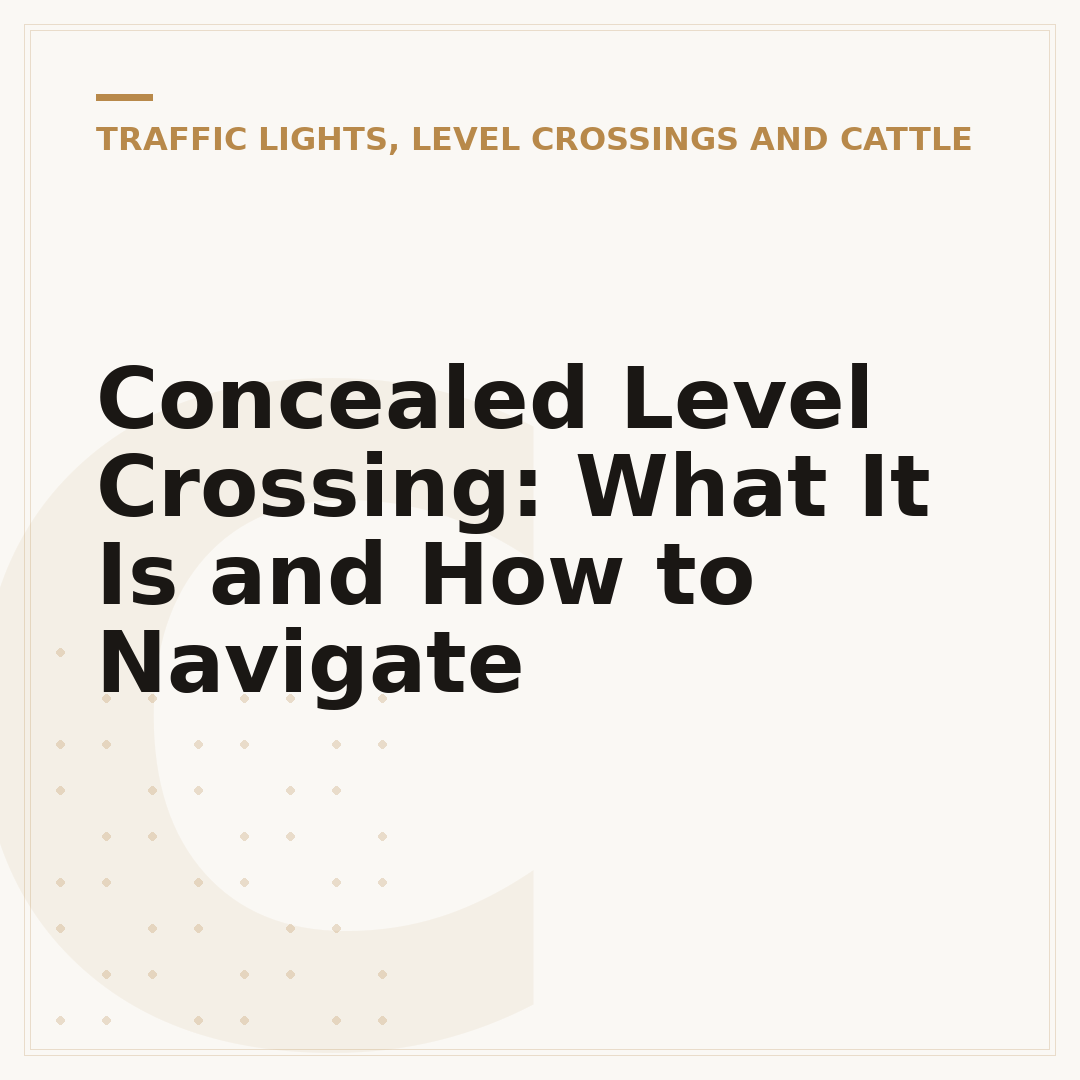 Concealed Level Crossing: What It Is and How to Navigate