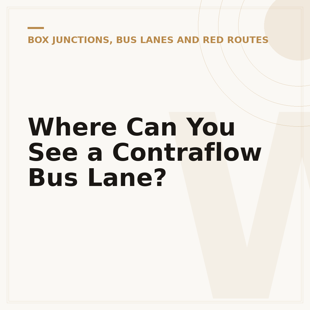 Where Can You See a Contraflow Bus Lane?