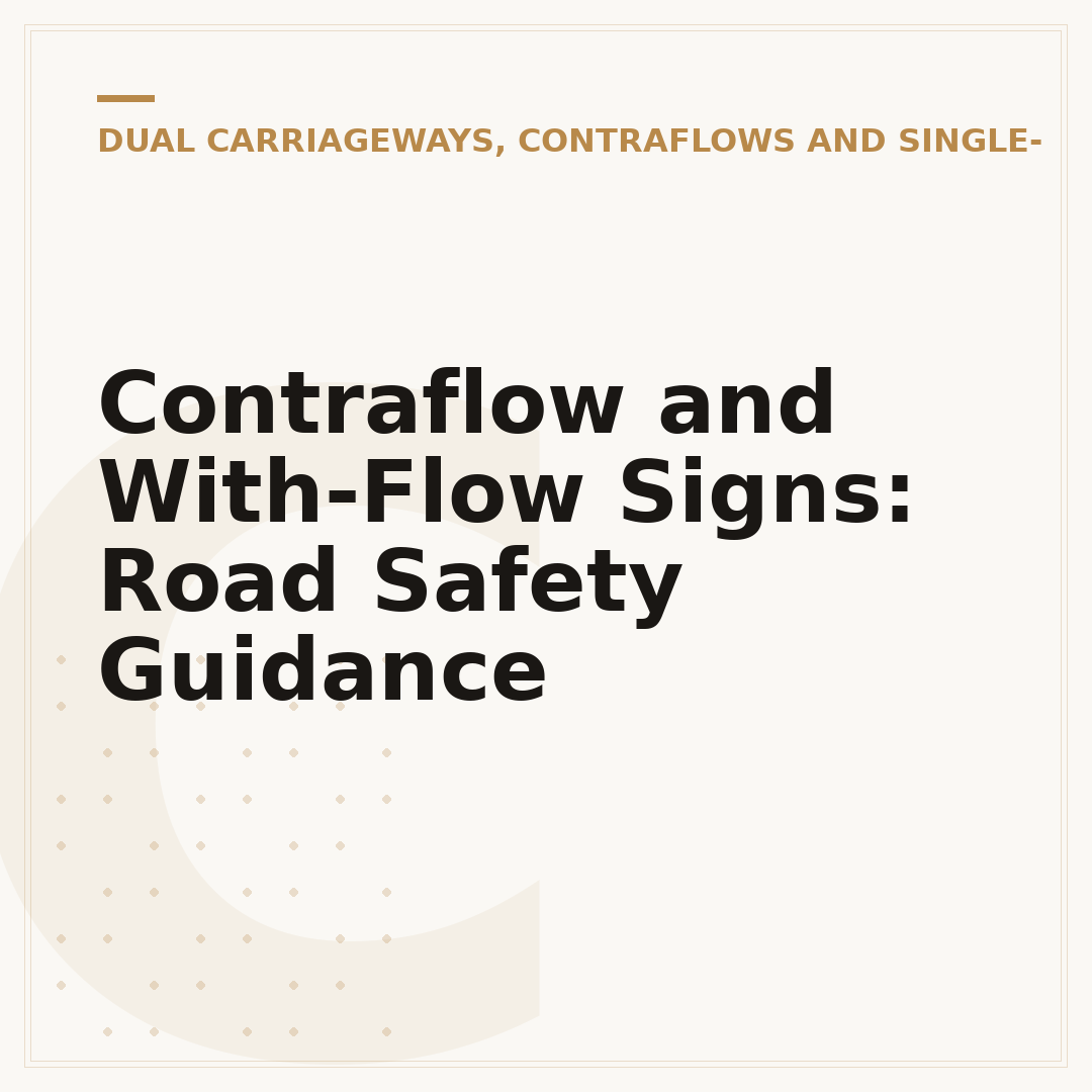 Contraflow and With-Flow Signs: Road Safety Guidance