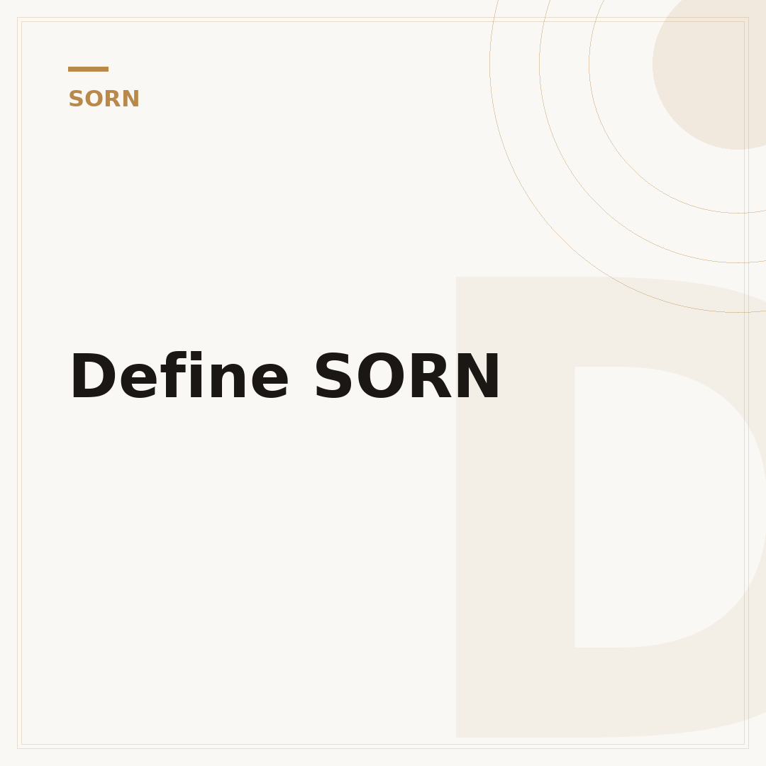 Define SORN