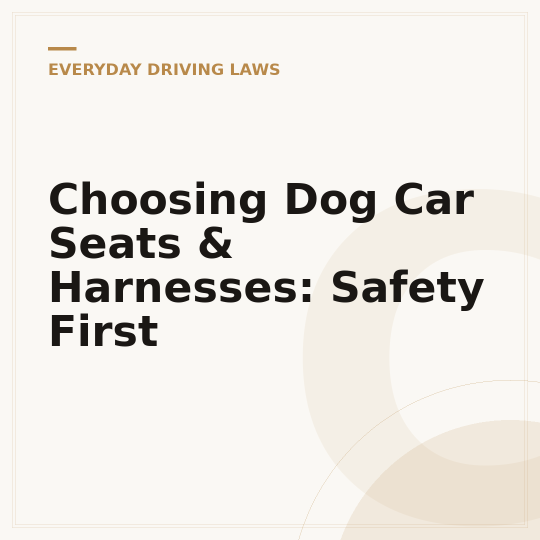 Choosing Dog Car Seats & Harnesses: Safety First