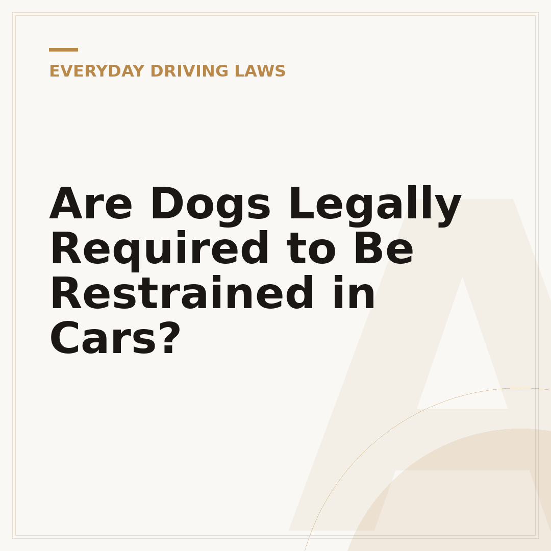Are Dogs Legally Required to Be Restrained in Cars?