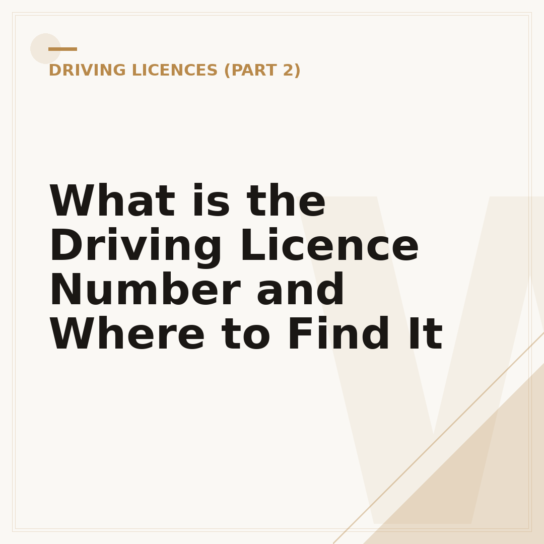 What is the Driving Licence Number and Where to Find It