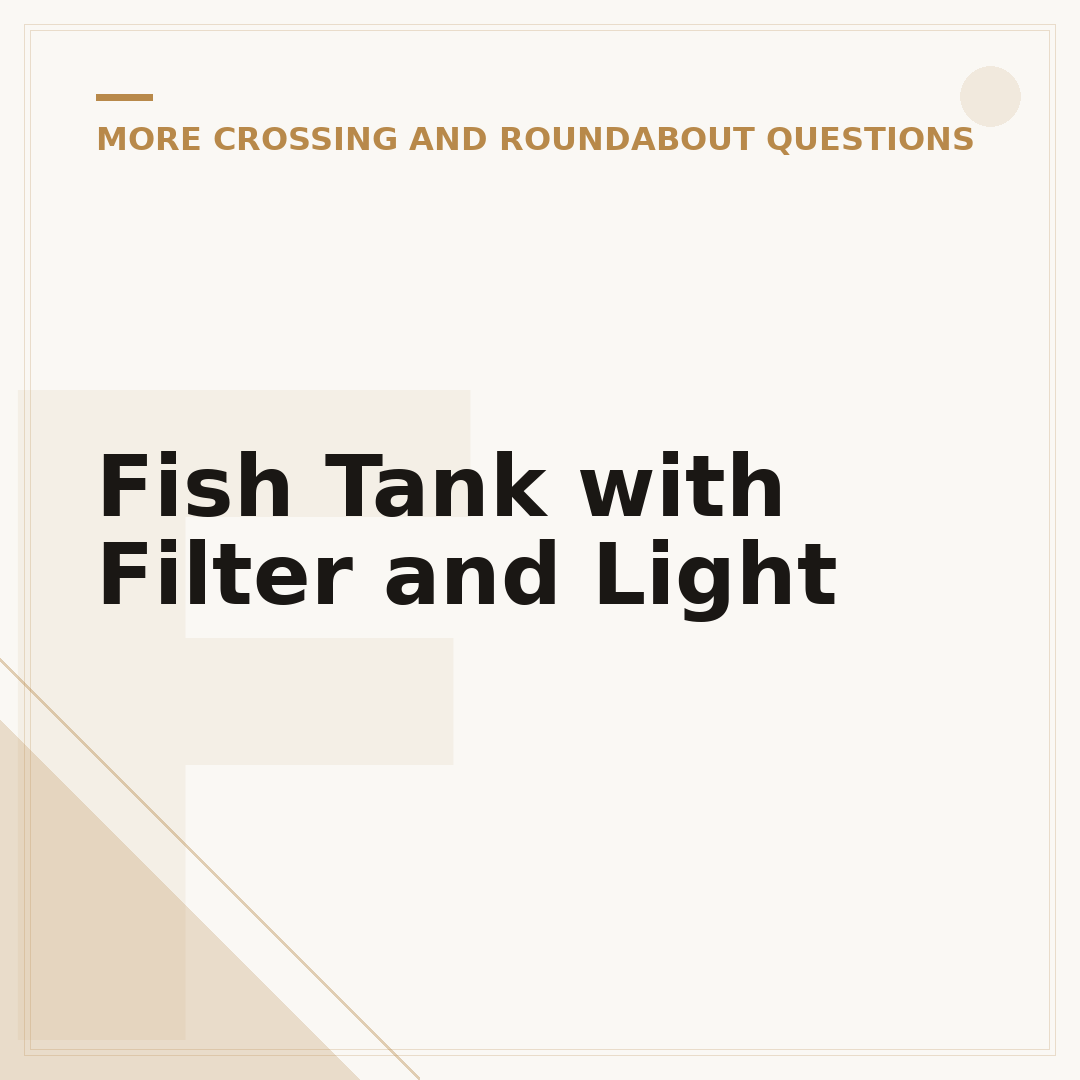 Fish Tank with Filter and Light