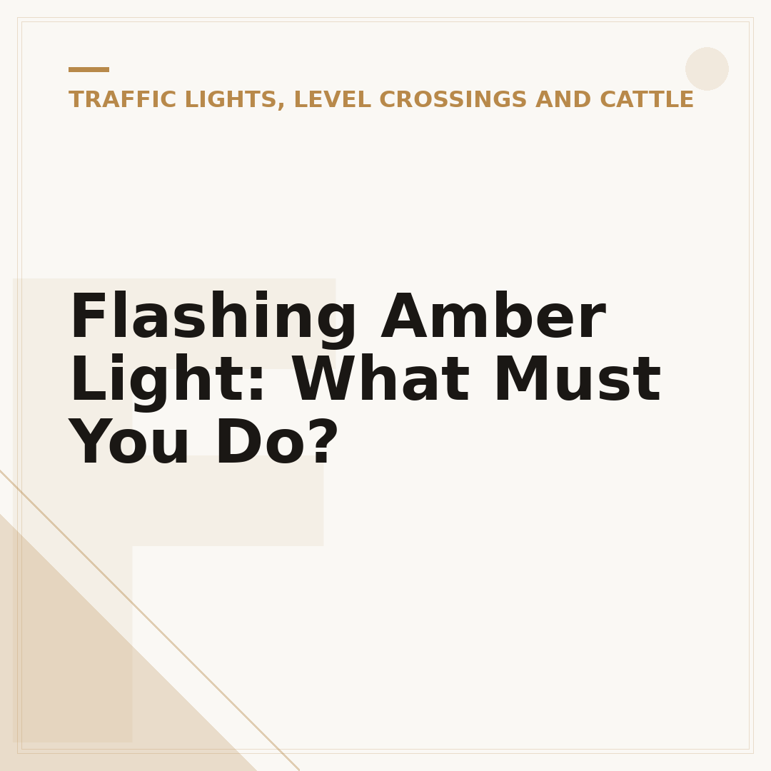 Flashing Amber Light: What Must You Do?