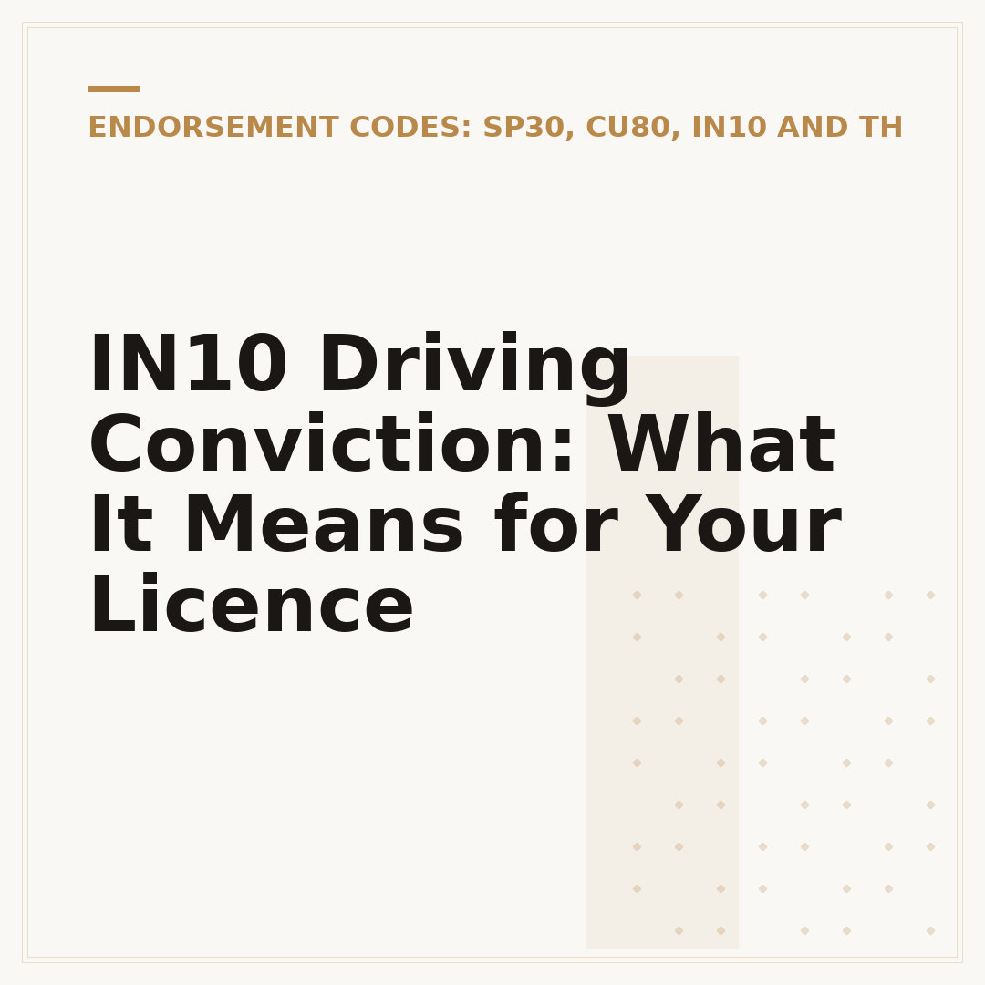 IN10 Driving Conviction: What It Means for Your Licence