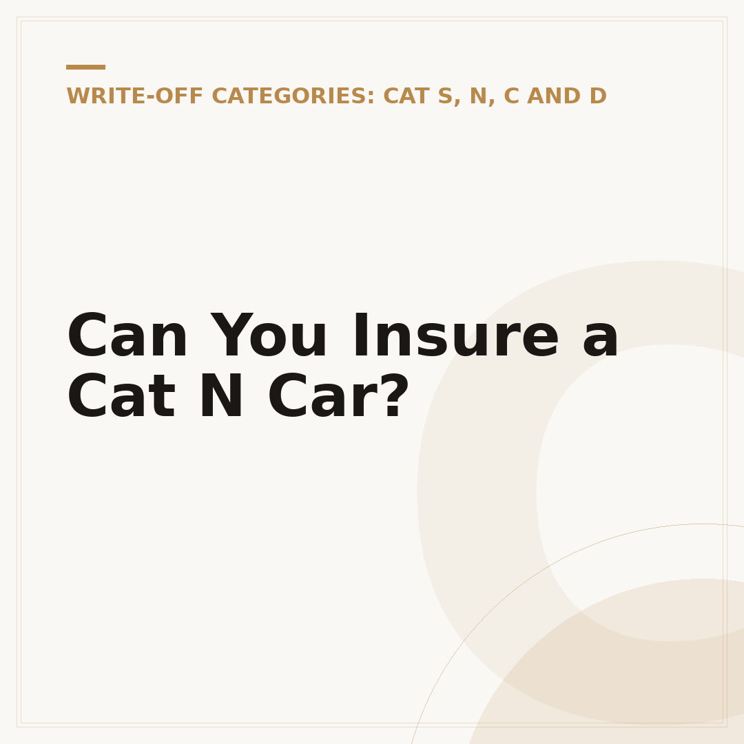 Can You Insure a Cat N Car?