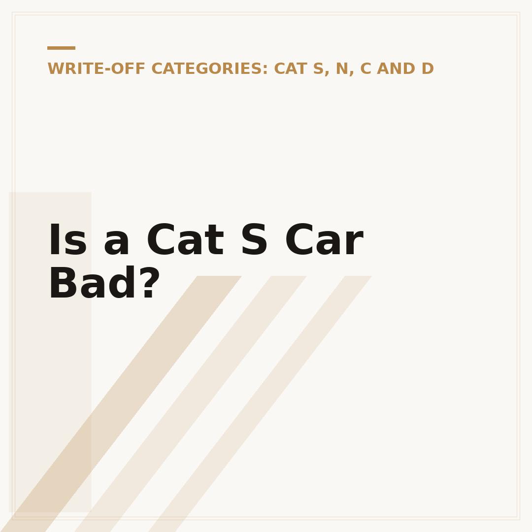 Is a Cat S Car Bad?