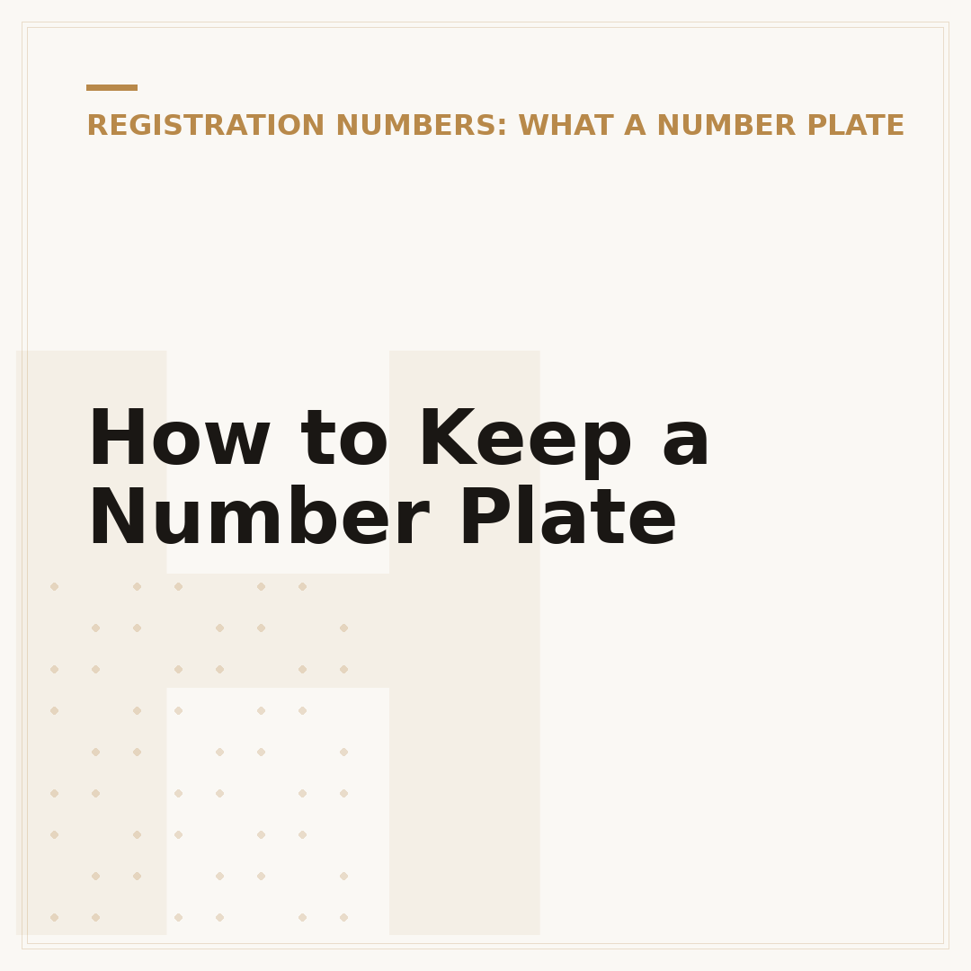 How to Keep a Number Plate