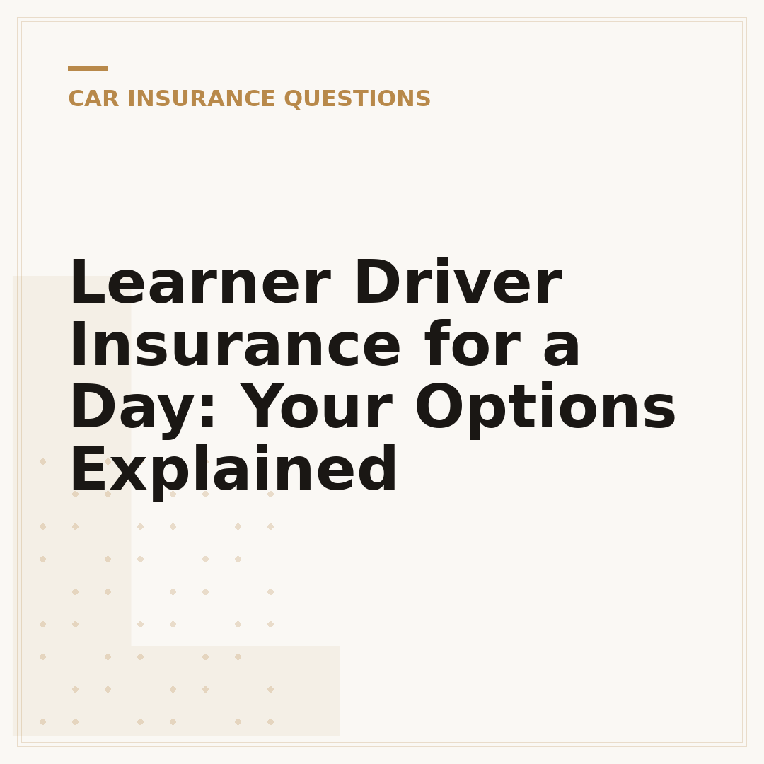 Learner Driver Insurance for a Day: Your Options Explained
