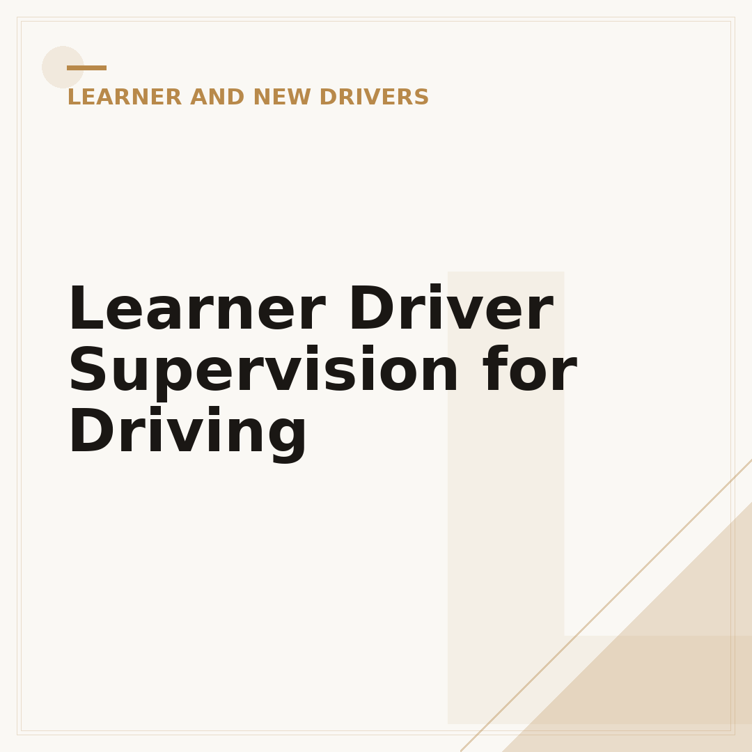 Learner Driver Supervision for Driving