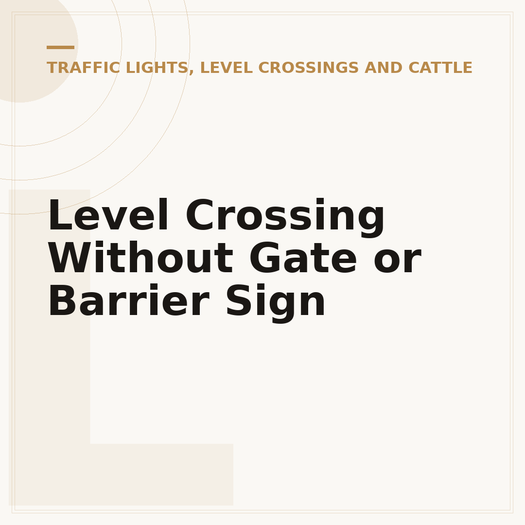 Level Crossing Without Gate or Barrier Sign